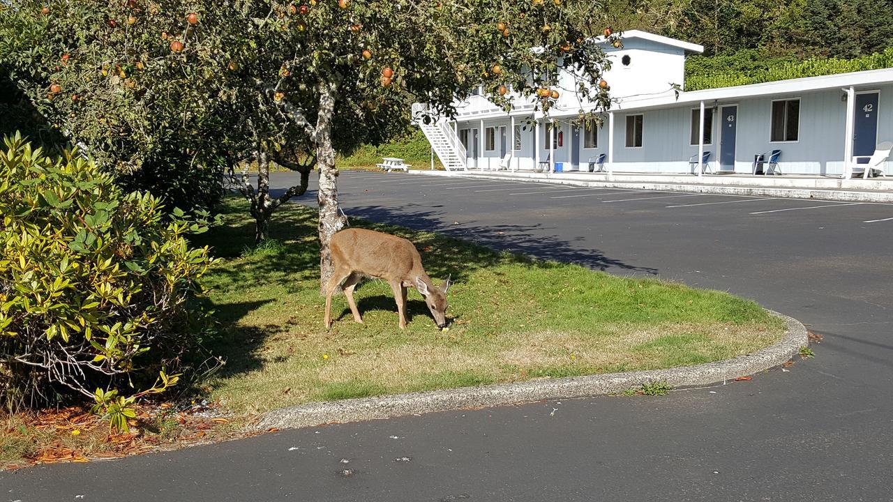 Winchester Bay Inn Reedsport Rum bild